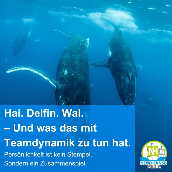 Neue Hanse Media GmbH